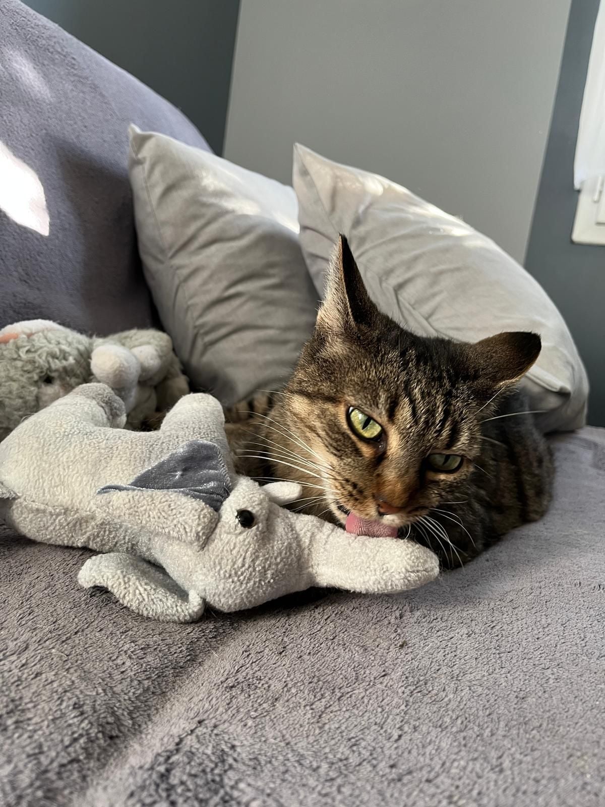 Lana couchée contre son doudou préféré