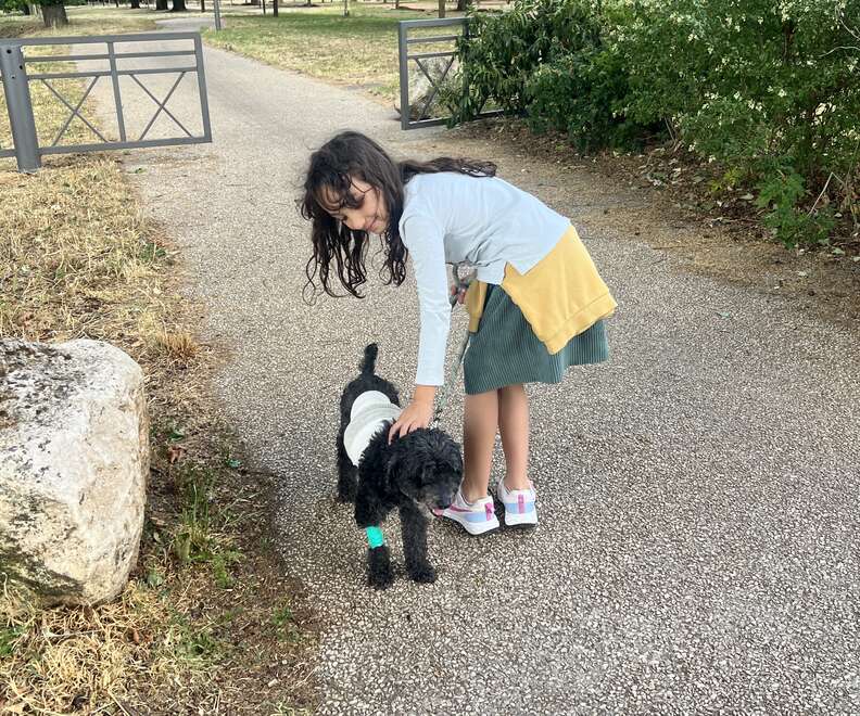 Une fillette caresse le chien bandé lors d'une promenade au parc