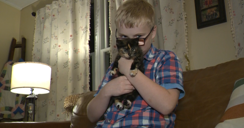 Alex, lunettes et chemise à carreaux, serre la petite chatonne écaille de tortue contre sa joue