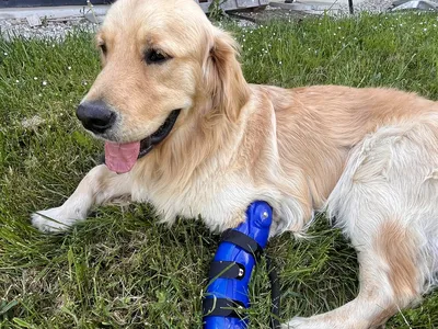 Ugo couché dans l'herbe, la tête tournée, sa prothèse bien visible