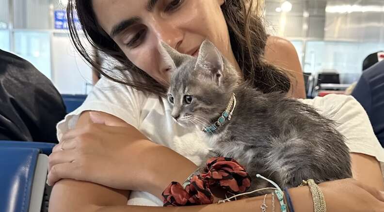 La jeune femme tient contre elle le chaton gris au collier turquoise, dans une salle d'attente