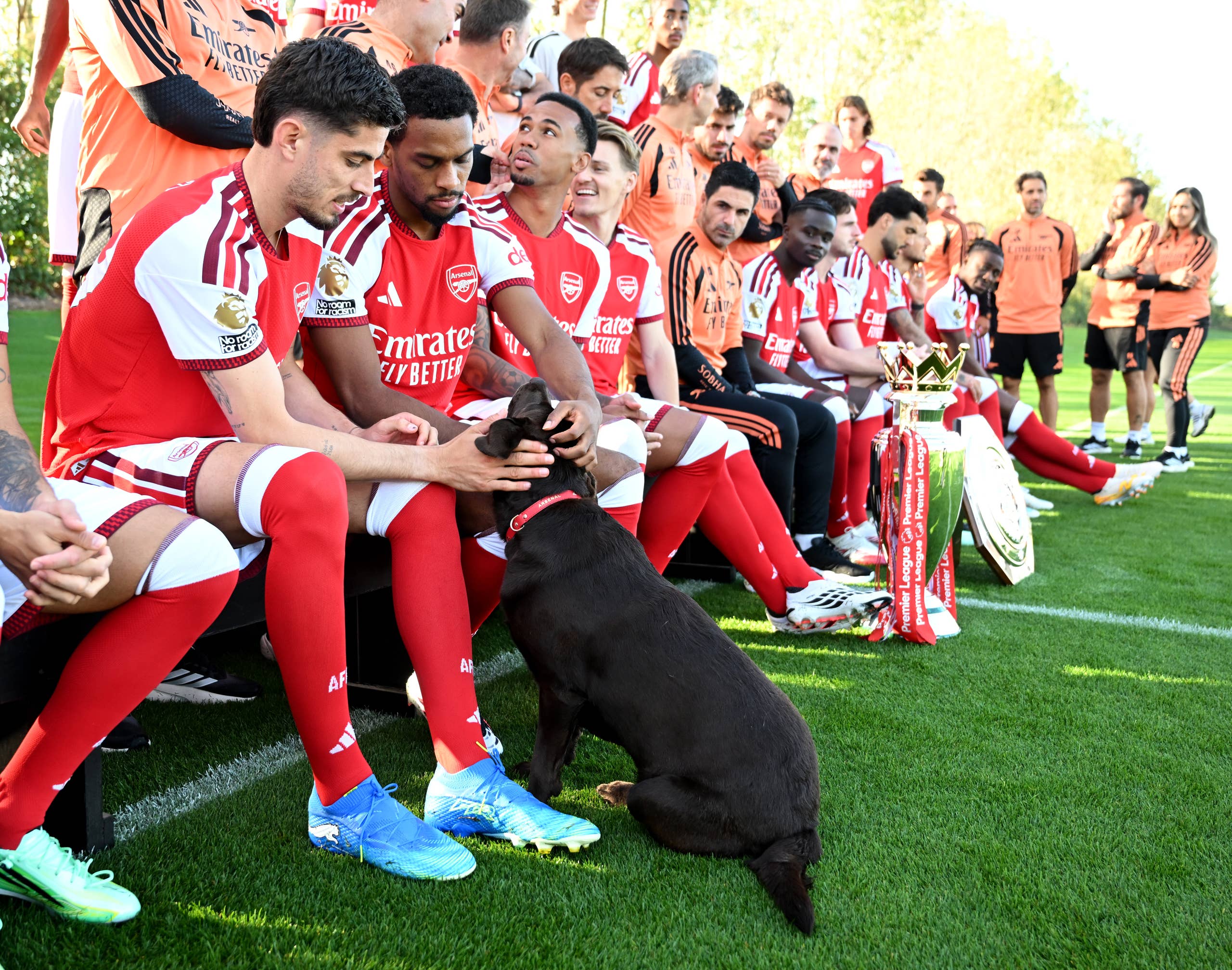 Des joueurs d'Arsenal caressent la tête de Win pendant la photo d'équipe