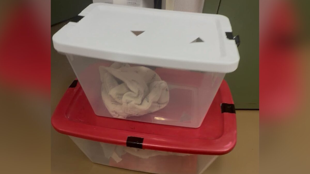 Les 2 bacs en plastique empilés trouvés dans la grange du refuge