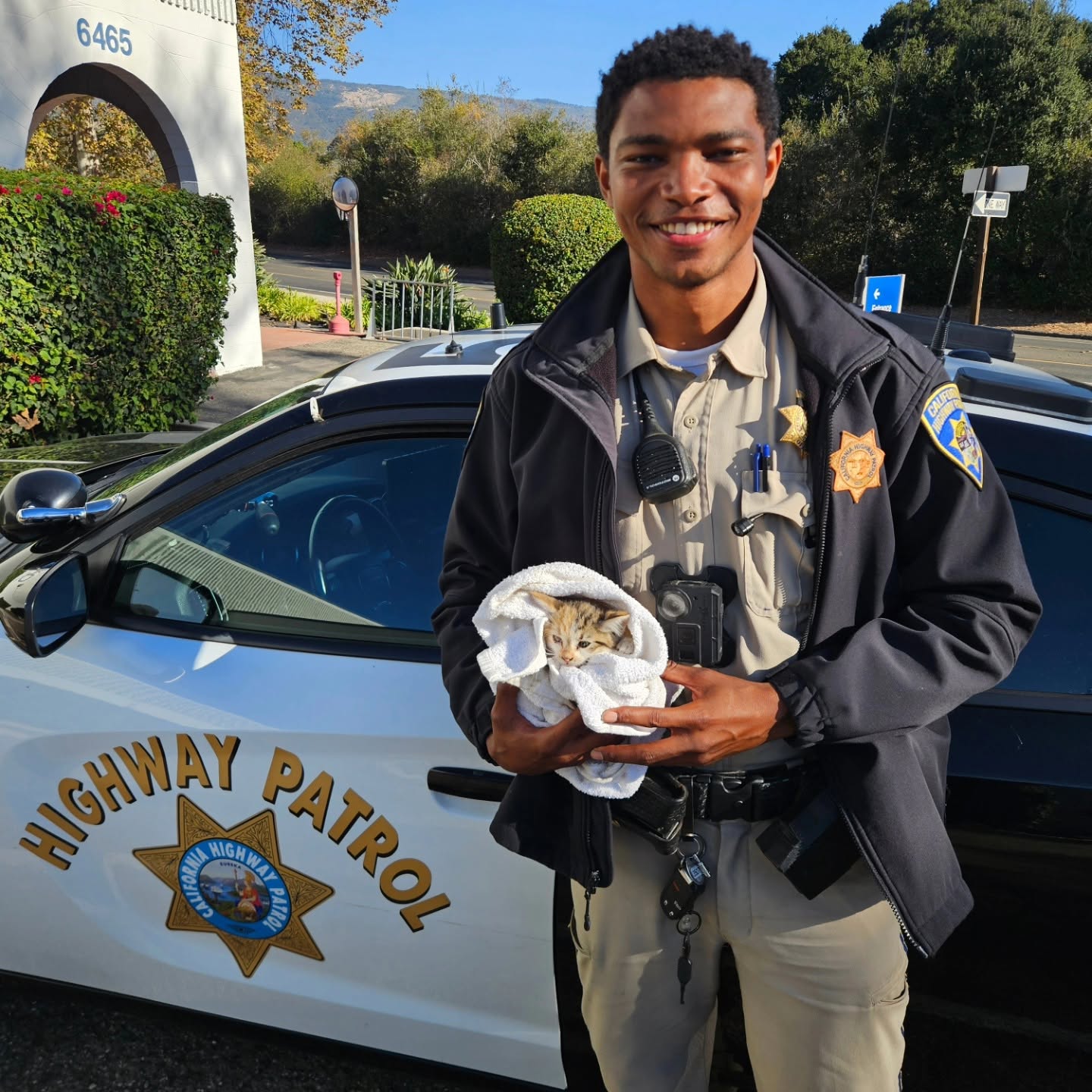 Nathaniel Foster, agent de la California Highway Patrol, tient le chaton dans ses mains devant une voiture de patrouille