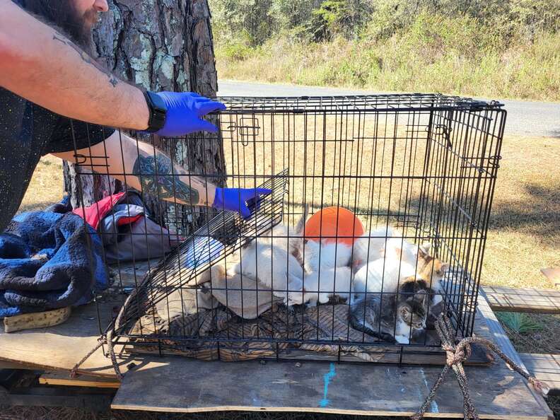 Un sauveteur ouvre la cage posée sur le plateau de la remorque