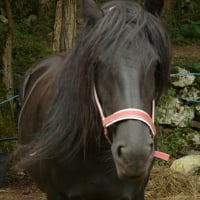 Photo de Merens