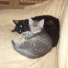 Photo Lily