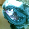 Avatar de nicozzz