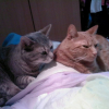 Photo Gabi