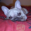 Photo Ana