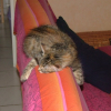 Photo angeden8