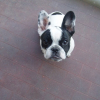 Avatar de liza