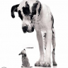 Avatar de cachou44