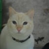 Avatar de fif