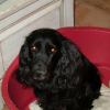 Photo fredoune