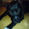 Avatar de cassidje