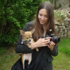 Photo westie92