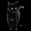 Avatar de alicemb_71