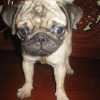 Avatar de POTCHII