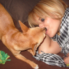 Photo chihuahua-addict