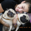 Avatar de nini15