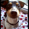 Photo Lola29