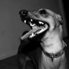 Avatar de smilelikemimie