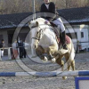 Photo nedwigue73