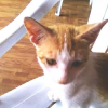Avatar de bugoy