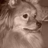 Avatar de coco2a