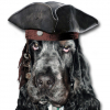 Avatar de carcharoth61