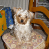 Avatar de fabec67