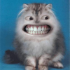 Photo twinsS