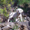 Photo Choupinette6983