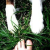 Avatar Myl83