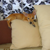 Avatar de kiki31400