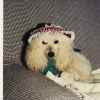 Photo mamie