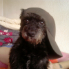 Avatar de twix74