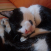 Avatar de aurelia63