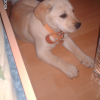 Avatar de celnico