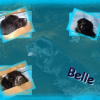 Avatar de laliebelle
