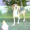 Avatar de oleole