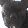 Avatar de stanou
