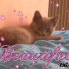 Avatar de cannelle54425