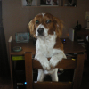 Avatar de lilou66150
