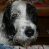 Photo snoopy23