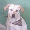 Avatar de vanou057