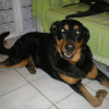 Avatar de ced39570