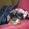 Photo totoben