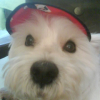Avatar de wooper